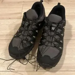 紐新品　数度室内履きのみ　SALOMON X BRAZE GORE-TEXのサムネイル