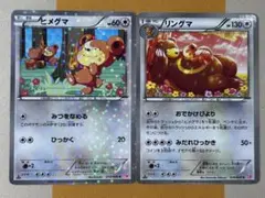 ヒメグマ リングマ　015/020 016/020 シャイニーコレクションのサムネイル