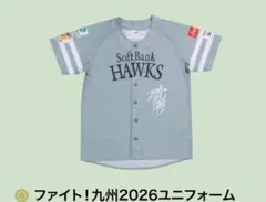 ソフトバンクホークス ファイト九州デー ユニフォーム Lサイズ 2枚セット