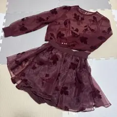 スナイデル　セットアップ