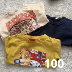 Item thumbnail for item 0a5e683f-ca38-4d88-b044-f0b5be07b317