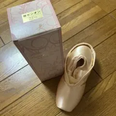 Sylvia 舞セシオン トゥシューズ 25.5cm C - メルカリ