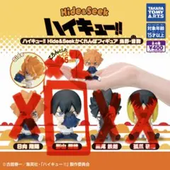Hide ＆ Seek かくれんぼ ハイキュー 木兎 赤葦 4点セット ハイキュー!! Hide&Seek かくれんぼフィギュア 青葉城西・梟谷学園
