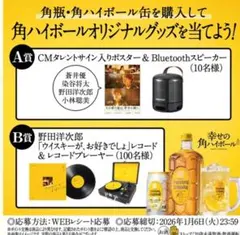 RADWIMPS 野田洋次郎 ウイスキーがお好きでしょ レコード プレイヤー