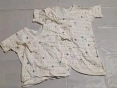 ベビー コンビ肌着 短肌着 2枚セット 50 60 綿