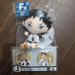 【ハイキュー!!】マスコットとコンビ缶バッジのセット