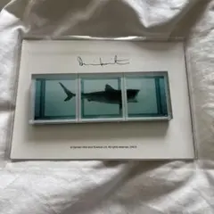 ダミアンハースト Damien hirst マグネット ソウル限定 - メルカリ