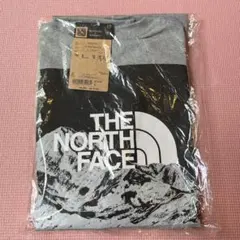 THE NORTH FACEのロングスリーブグラフィックティーMサイズ