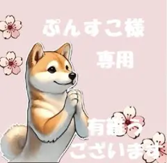 【ぷんすこ様　専用】