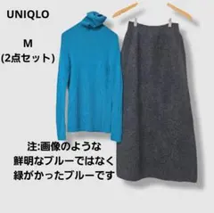 【2点セット】ユニクロ　ウール100%タートルニット　ロングスカート