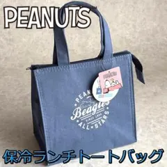 PEANUTS スヌーピー 保冷保温 ランチトートバッグ マチ広 ブルー