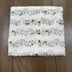 Item thumbnail for item 3fd0c8ec-fc20-4110-b414-380c2cf18603