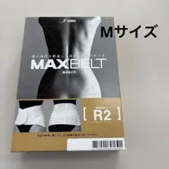 Item thumbnail for item e45d1347-cf2a-4f07-86a8-d7c432d5874c