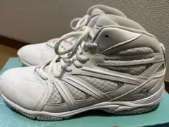 美品⭐︎24.5⭐︎MIZUNO WAVE DIVERSE LG3のサムネイル