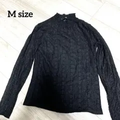 黒総レース　ハイネック長袖　M