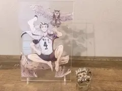 ハイキュー!! 木兎光太郎 アクリルアートスタンド Ver.1.0＆ミニアクスタ