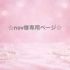 ☆nov様専用ページ☆