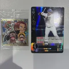 キャプテン翼 たたかえドリームチーム トレーディングカード トレカ