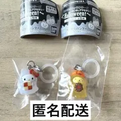 【匿名配送】サンリオ めじるしアクセサリー Halloween キティ プリン