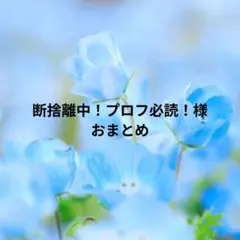 断捨離中（プロフ必読）まとめ買い大歓迎！ページ 断捨離中（プロフ必読）まとめ買い大歓迎！様 リクエスト 2点 まとめ