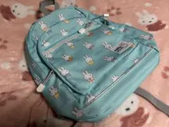 Item thumbnail for item 2d466200-ca01-461b-80ed-3a9178e81005