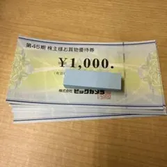13000円分　ビックカメラ　株主優待　株式優待