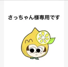 こちらはさっちゃん様専用です