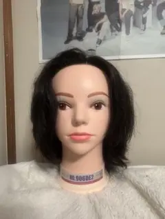 2026年最新】ワインディング ウイッグの人気アイテム - メルカリ