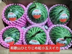 大特価。和歌山ひとりじめ紅小玉スイカ訳あり品6玉入箱込約3kg 前後。のサムネイル