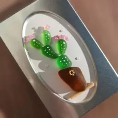シーグラスアート　サボテン