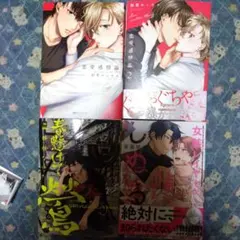 BL まとめ売り4冊 バラ売り 入れ替え自由