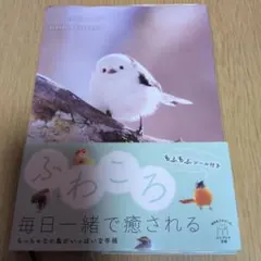 Item thumbnail for item f0c67dae-c9e3-4d67-baff-c217e22d1b74