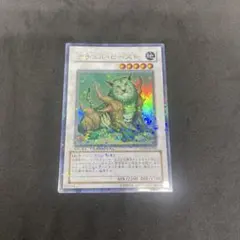 2025年最新】ナチュル・ビースト DTの人気アイテム - メルカリ