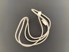 【Dpapa さん専用】【Apple純正品】USB-C関連3点