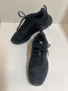 Item thumbnail for item 7653ec44-594b-4e3e-af22-b2181f214d92