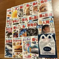 ハッピーセット図鑑シリーズ21冊　おまけ付き