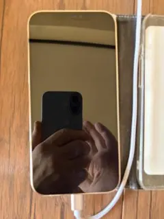 Apple iPhone 12 Pro シルバー 本体SIMフリー