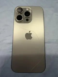 にいなさま専用