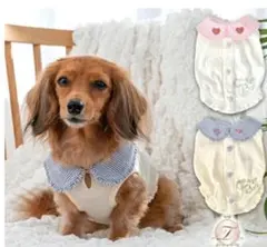 Item thumbnail for item d5b73f0a-c3e0-4cad-87da-f8828149a3a0