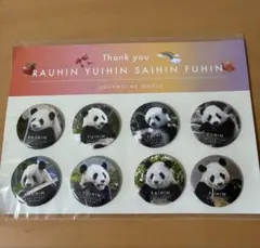 2026年最新】パンダ彩浜の人気アイテム - メルカリ