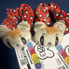 新品 ジェ猫 シュシュ 白濱亜嵐 ２点 セット GENERATIONS