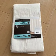 Item thumbnail for item 13ea5d95-24f9-4b02-96f8-aa6e5f1645bb