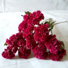 Calm Beach様 リクエスト 4点 まとめ商品