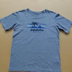 Patagonia Pataloha Haleiwa Tシャツ XXLのサムネイル