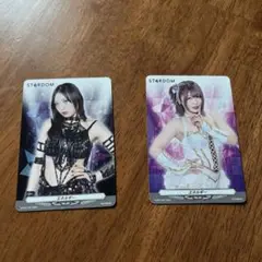 スターダム　中野たむ　等身大タペストリー Vol.1 中野たむ 等身大タペストリー Vol.1 – 闘道館