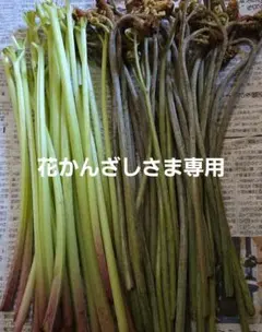 花かんざしさま専用