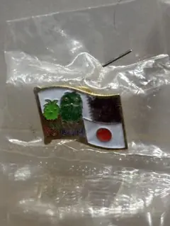 愛・地球博ピンバッジ未開封