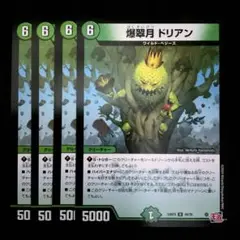 爆翠月ドリアン　４枚