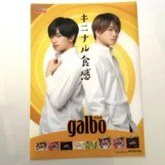 ふまけん ガルボ ファイル