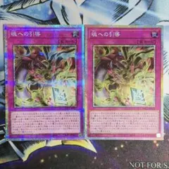 No.2810 アーコレ　プリシク　魂への引導　2枚
